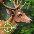 猎鹿动物狩猎Hunting Deer