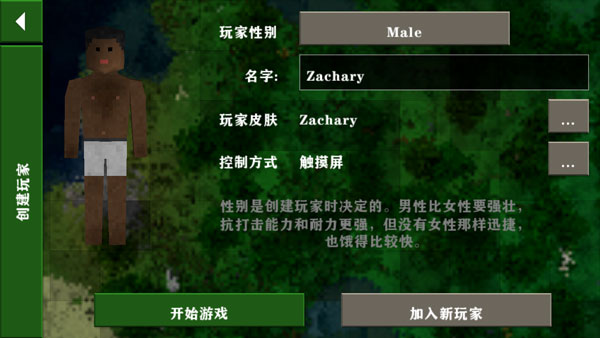 游戏攻略2