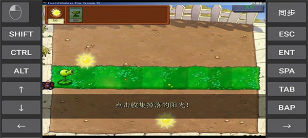 植物大战僵尸95移植版