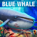 深海蓝鲸模拟Blue Whale Simulator