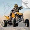 极致赛车ATV XTrem