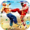 新街霸终极功夫New Street Fighter - Ultimate Ku