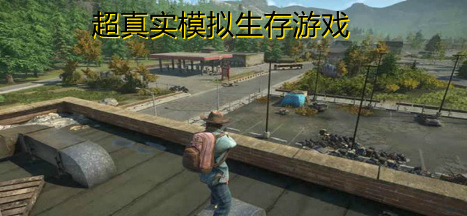 超真实模拟生存游戏