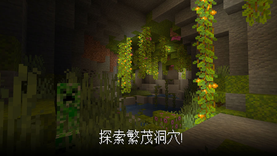 我的世界基岩版1.19.11(Minecraft)