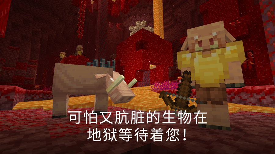 我的世界基岩版1.19.11(Minecraft)