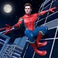 蜘蛛英雄超级挑战(Spider Hero Super Challenge)