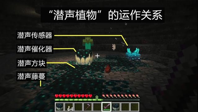 我的世界基岩版1.19.31