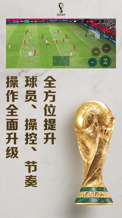 fifa足球世界杯