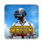 pubg国际服体验服2024