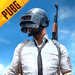 pubgmobile体验服