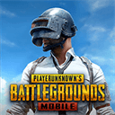 pubg亚服手游