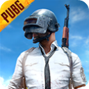 绝地求生国际服正版pubg