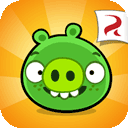 bad piggies