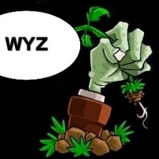 植物大战僵尸wyz支线版