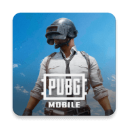 吃鸡国际服pubg