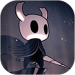 Hollow Knight