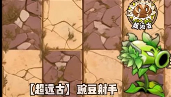 植物大战僵尸神奇植物版