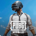 吃鸡国际服PUBG地铁逃生