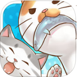 猫宅日记