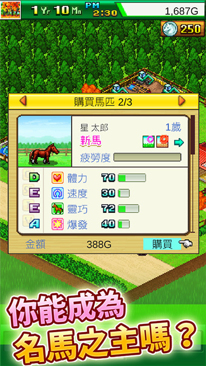 顶级赛马牧场物语