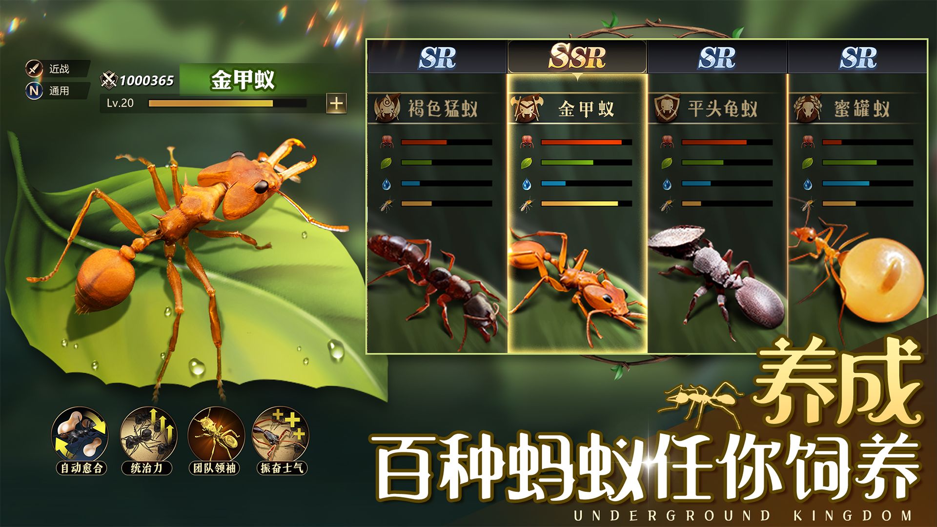 小小蚁国蚁族时代新版本-小小蚁国蚁族时代手机版1.44.0-MC中文下载