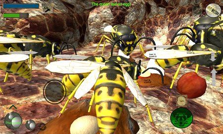 大黄蜂进化史(Bee Simulator)