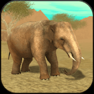 终极大象模拟器Wild Elephant Sim