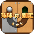 球球你别走Unblock Ball Puzzle CSJ