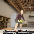 小屁孩模拟器Granny Kick Neighbor