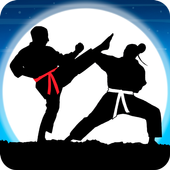 影子空手道大师战斗Karate Fighter