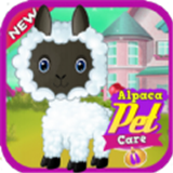 羊驼宠物护理Alpaca Pet Care