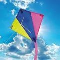 风筝飞行3DKite Flyng 3D