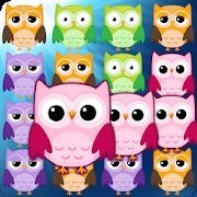 可爱的猫头鹰流行Cute Owl Pop