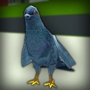 鸽子狂暴模拟器Pigeon Rampage Simulator