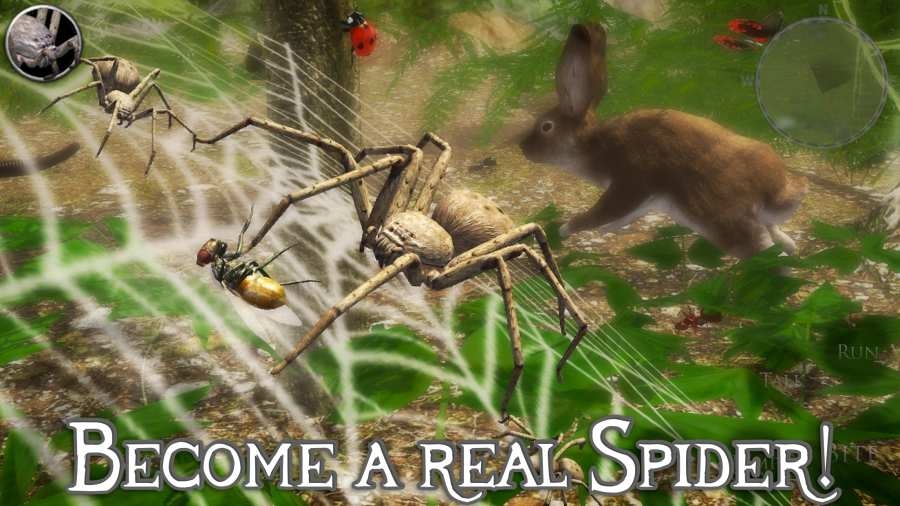 终极蜘蛛模拟器2(SpiderSim2)