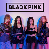 BLACKPINK拼图BLACKPINK Puzzle